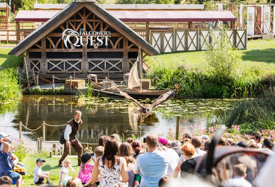 A series of live shows, including the Falconer's Quest, take place down on the banks of the river