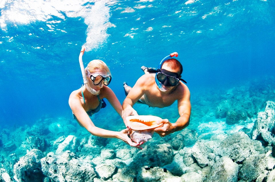 Male and female snorklers playing with clam under the sea surface.