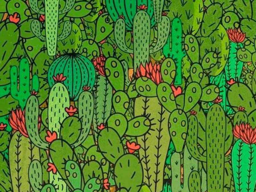 Try spotting the three hidden animals in 13 seconds or less