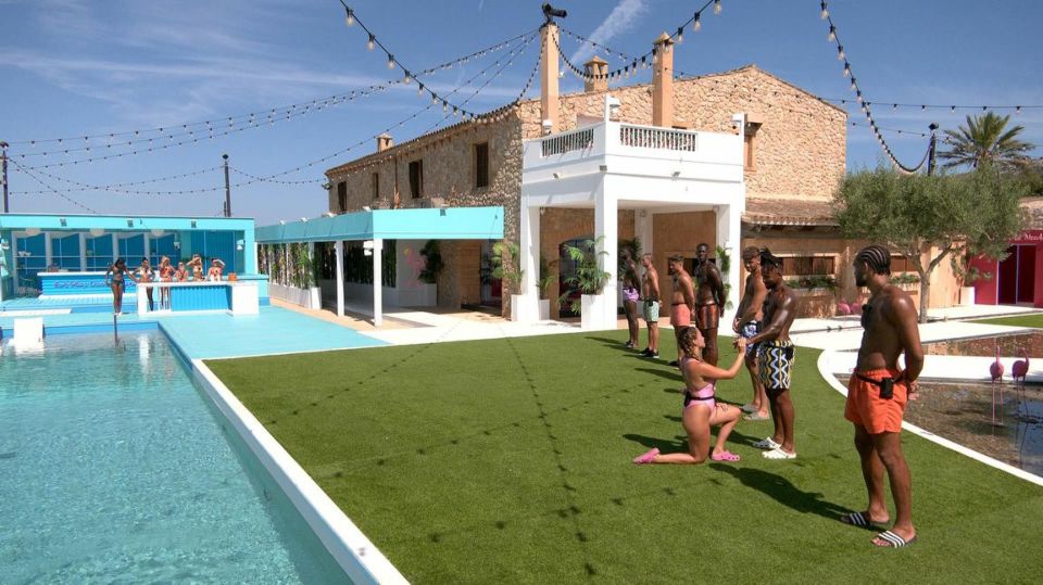 Love Island fans reckon they've sussed the real villa 'villain' after Snog, Marry, Pie