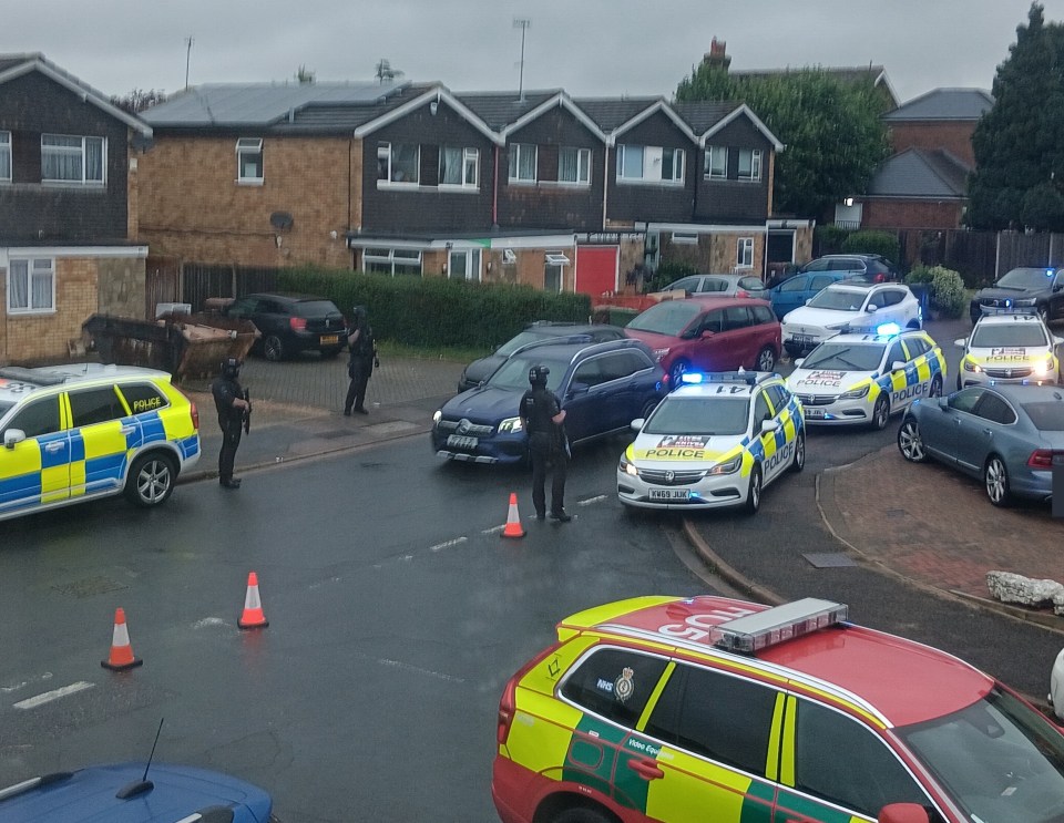 several police cars are parked on the side of the road