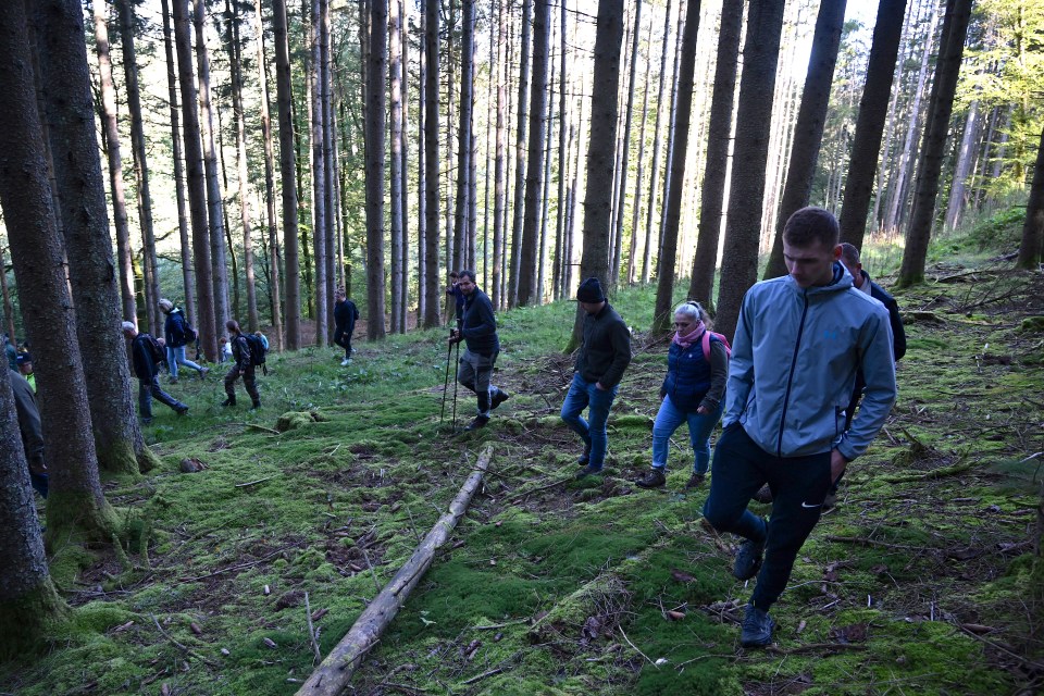 Officials focused their hunt on a mountainous, wooded area between her home in Champenay and the train station in Saint-Blaise-la-Roche