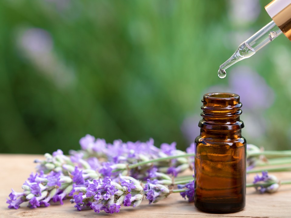 Hannah recommends lavender or peppermint essential oil - diluted and sprayed