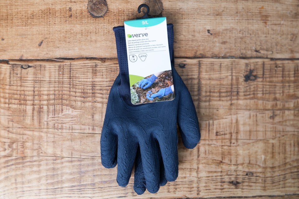 This cheap pair of gloves was sturdy and protected hands against rose bushes well