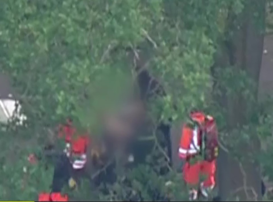 an aerial view of a person hanging from a tree .