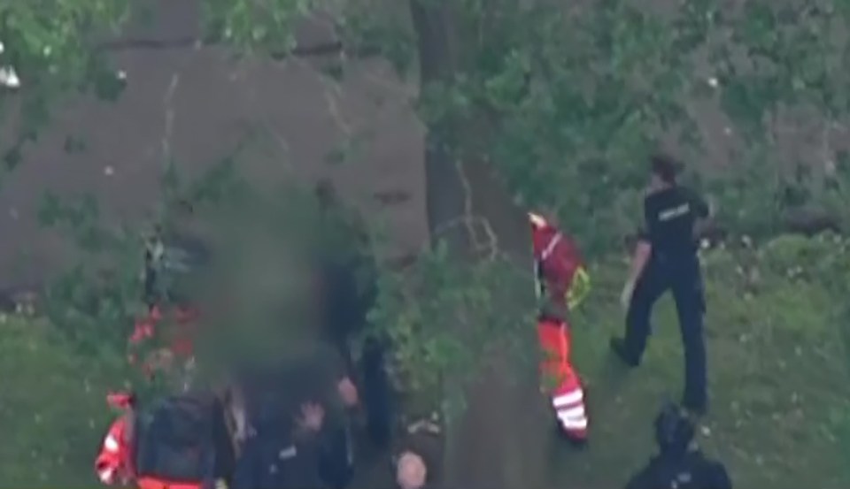 an aerial view of a group of people standing next to a tree .