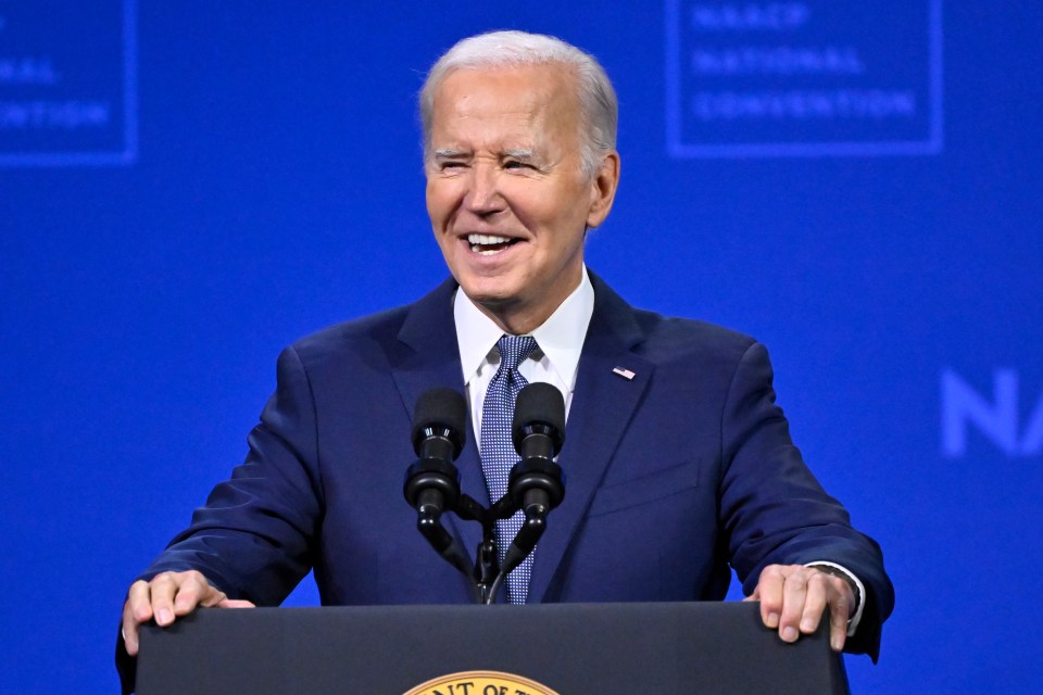 Joe Biden stood down as the Democratic candidate for US President on Sunday