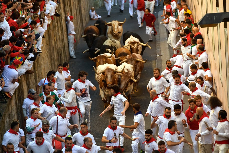 Revellers were seen racing with bulls at the San Fermín fiestas in Pamplona, Spain