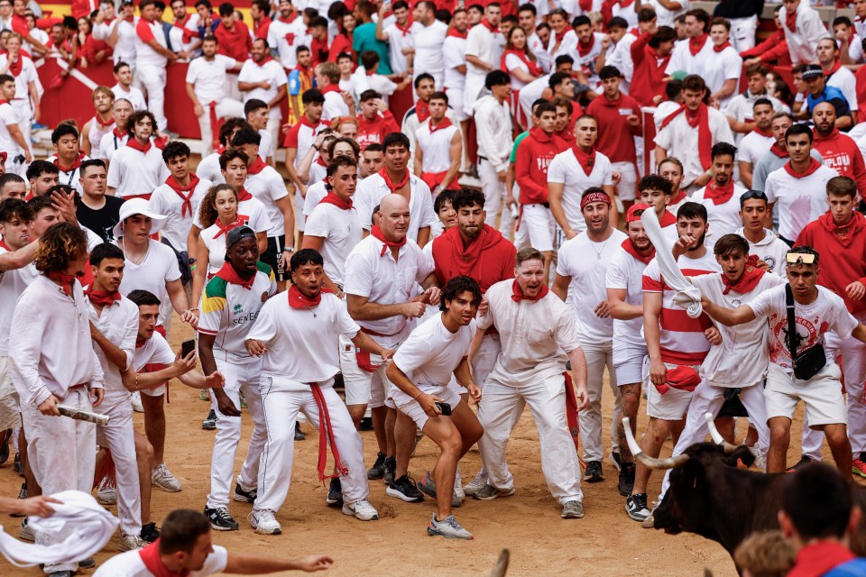 Revellers were seen surrounding a wild cow inside a bullfighting ring at the festival