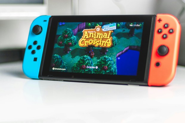 an animal crossing game is being played on a nintendo switch