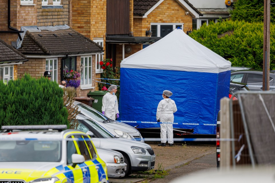 The three bodies were discovered in Bushey