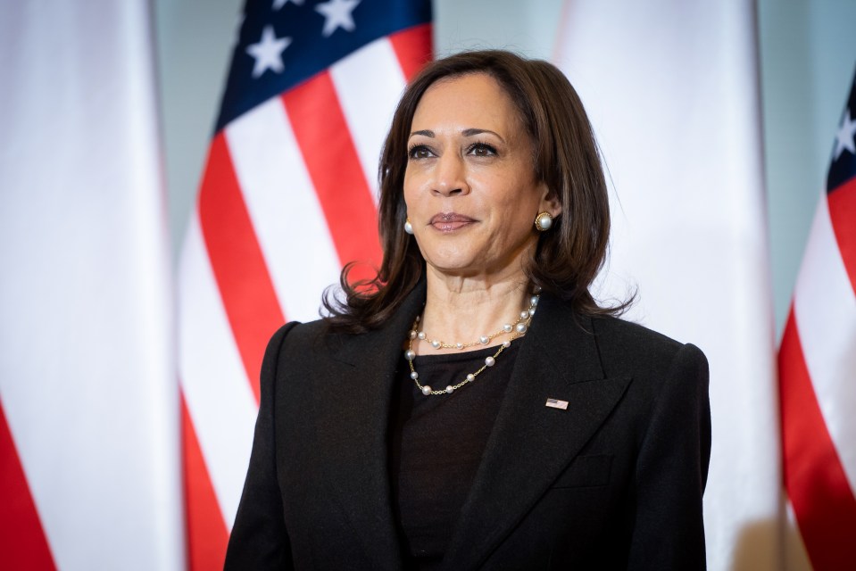 Endorsements from high profile politicians have been rolling in for Kamala Harris to take over from Joe Biden as the Democrats' candidate for President