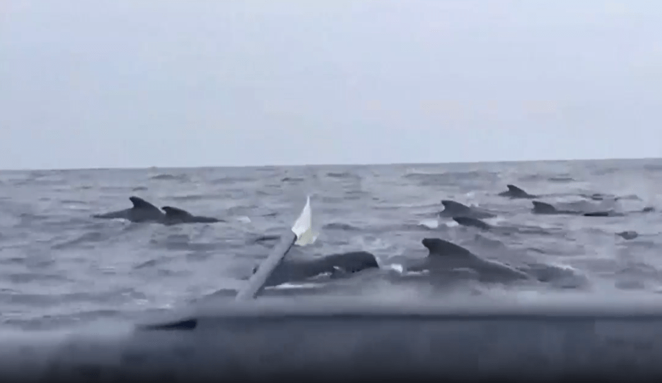 The encounter happened 1000 nautical miles off the coast of St John, Newfoundland