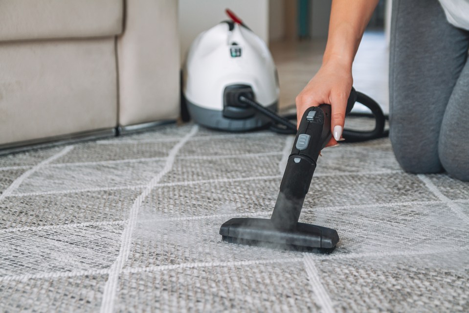 Jonathan says: 'Show buyers there’s no need for change by renting a carpet cleaner for the day'