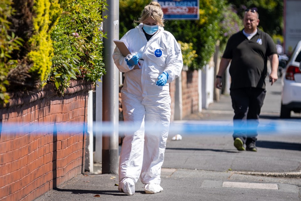 Forensics were also at the site earlier this week