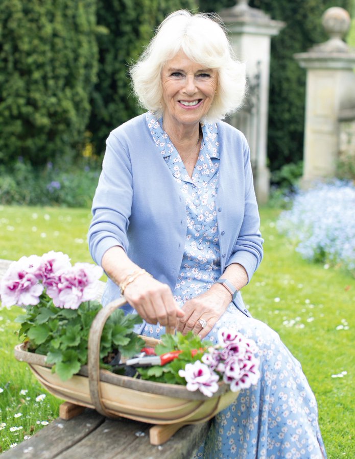 Celebrations are in order for Queen Camilla who turns 77 today