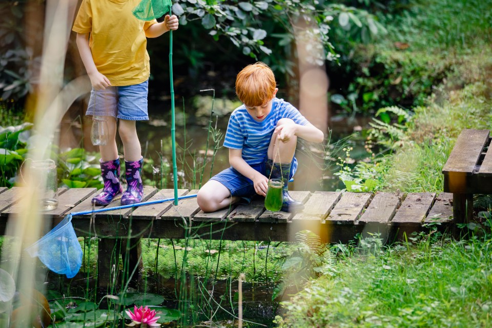 Get outoors where kids can go on trails, dig, and look for nature in the woods and rivers