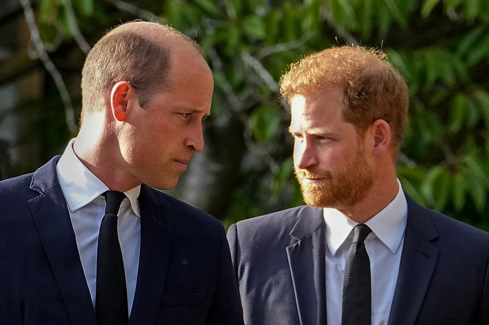 Warring Princes William and Harry were reunited at their uncle’s funeral yesterday