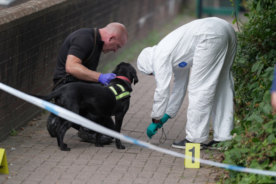 a man in a white suit is kneeling down next to a black dog