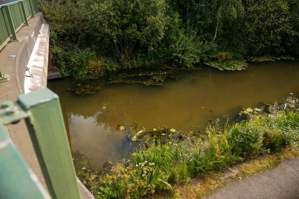 The council issued a danger to health warning near Pleck, Walsall, West Midlands