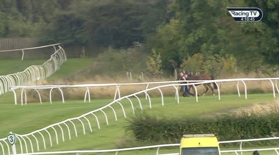 A loose horse roamed around Catterick racecourse - to the dismay of punters