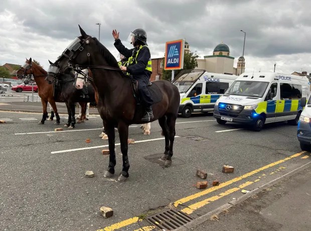 A police horse can be seen surrounded by bricks