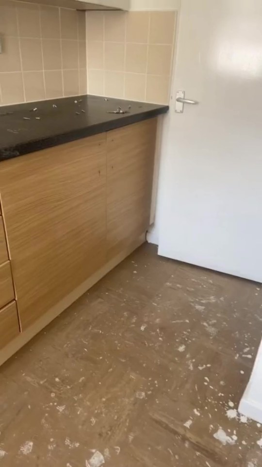 A woman has revealed that she gave her council house kitchen a total transformation, whilst on a budget