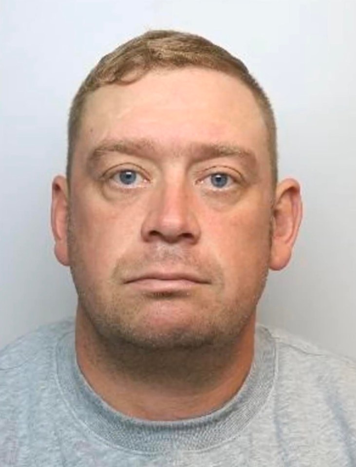 His brother Luke has also been jailed for three years having pleaded guilty to violent disorder