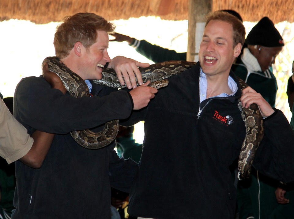 two men are holding a snake and one has a tusk sweatshirt on