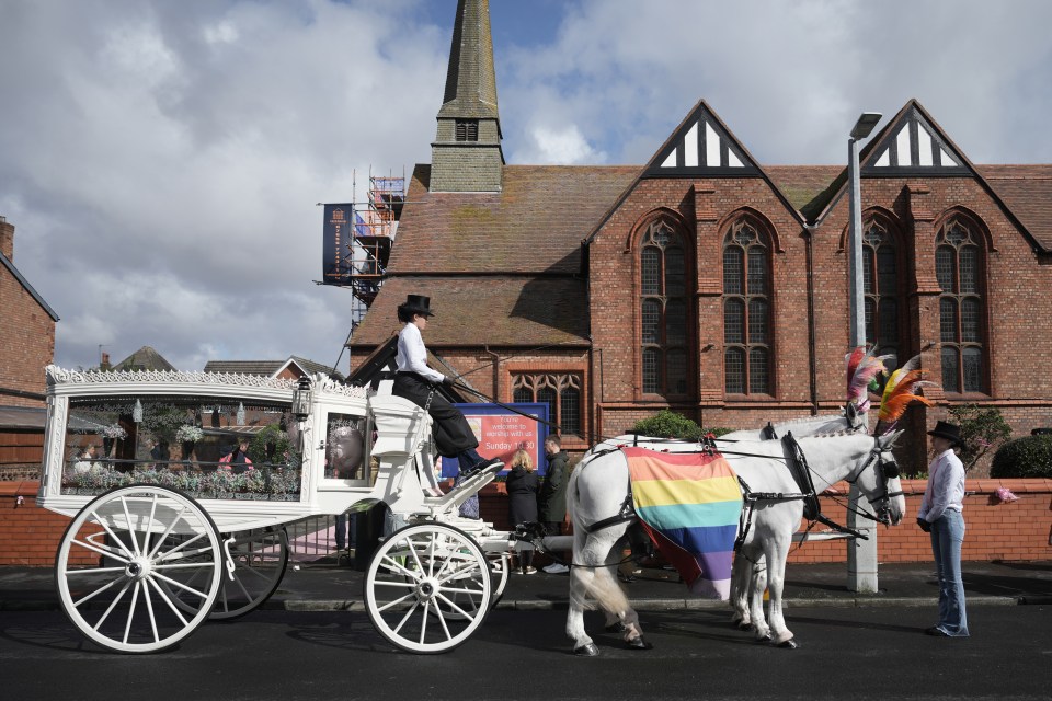 a horse drawn carriage with a rainbow flag on the back