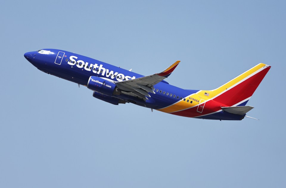 Brianna claimed Southwest Airlines kicked her off a plane from Hollywood Burbank Airport (stock image)