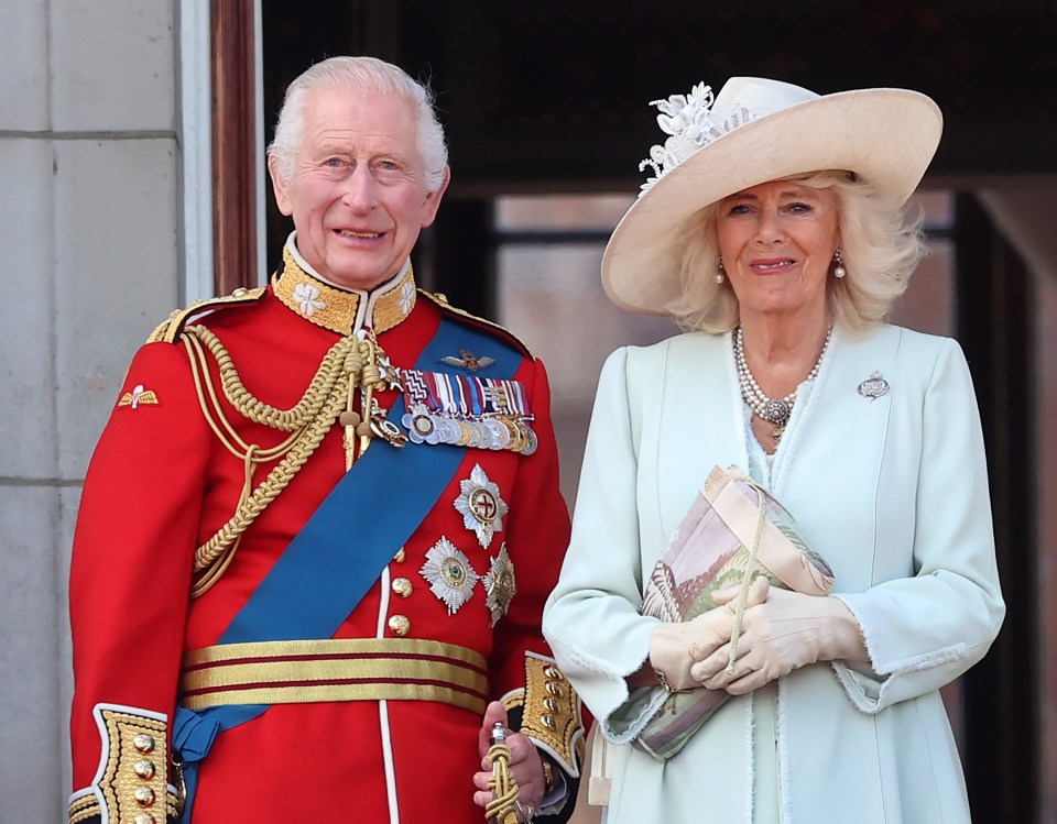 Harry also attacked Queen Camilla in Spare when he said he begged Charles not to marry her