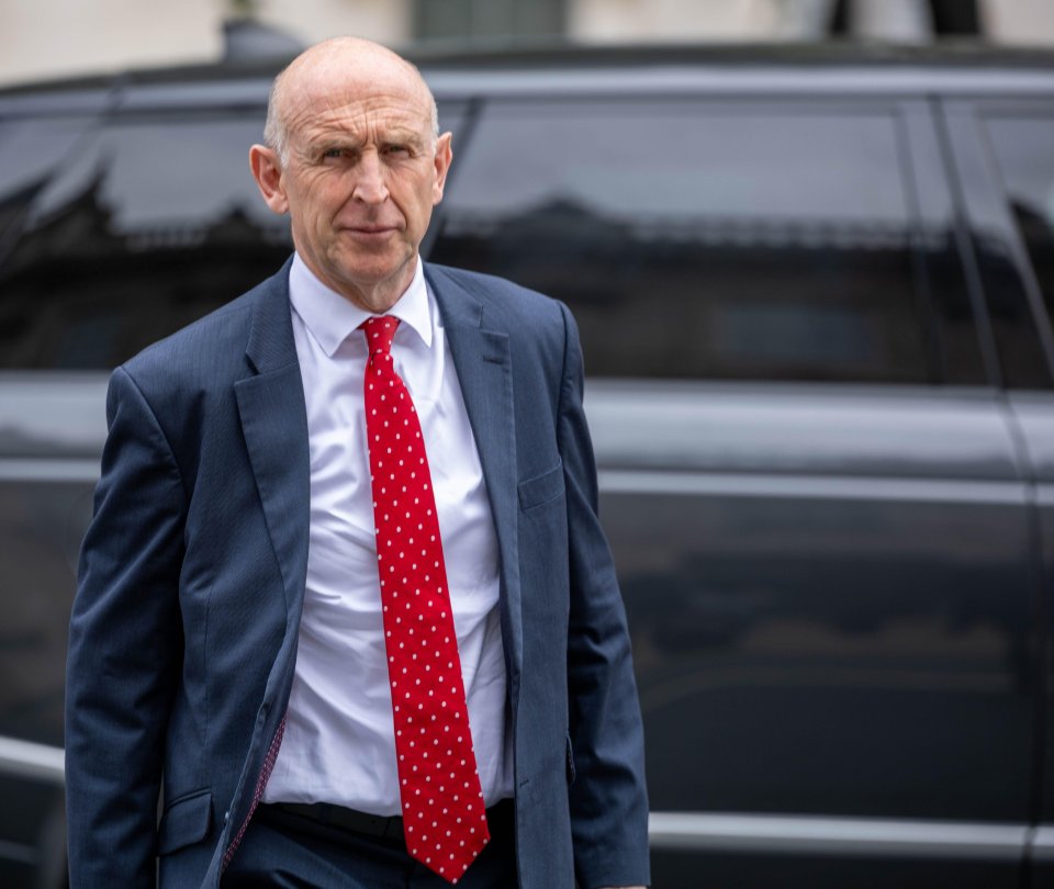 New Defence Secretary John Healey pulled the plug on the 'grossly wasteful' chopper contract