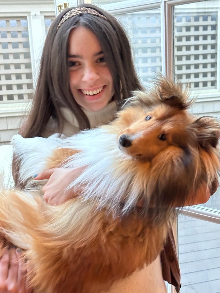 a girl is holding a brown and white dog in her arms