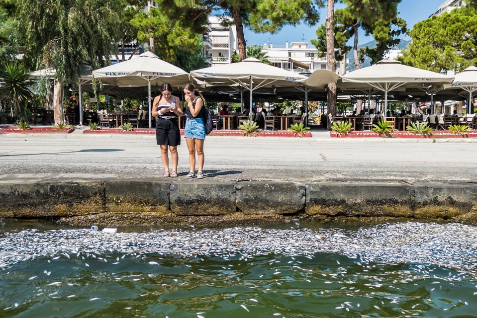 These women were so stunned by the stench one of them held her nose