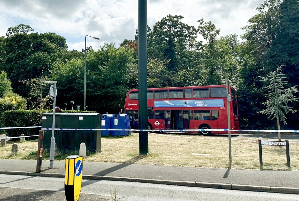 The crash involved a bus