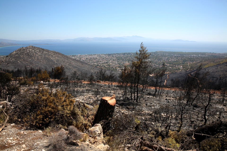 Images show the damage caused by wildfires