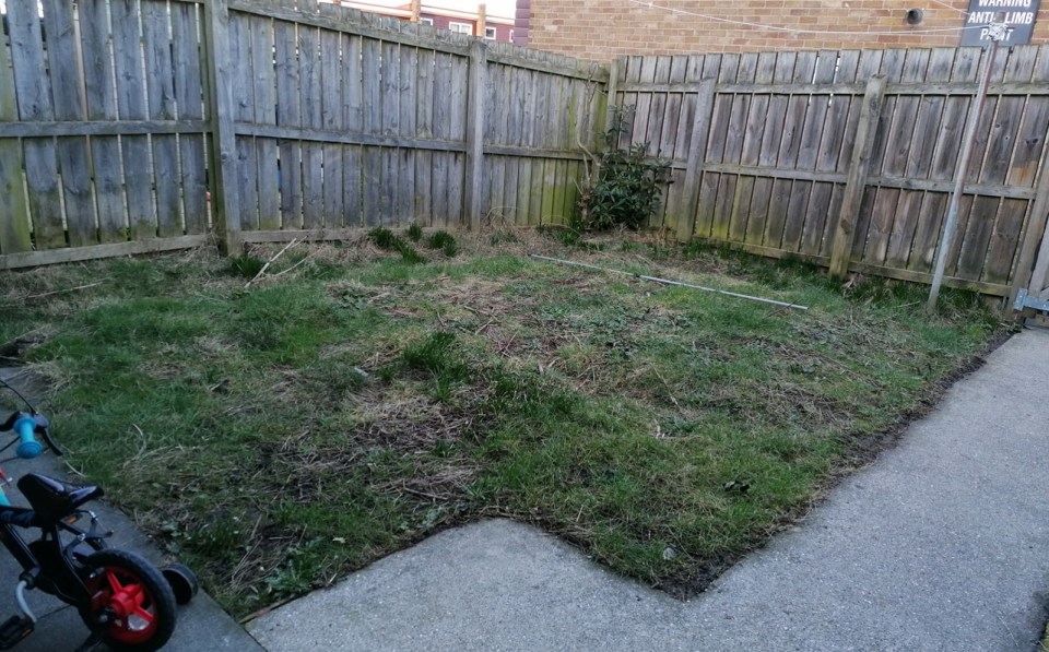 The state of the garden when the homeowner first moved in