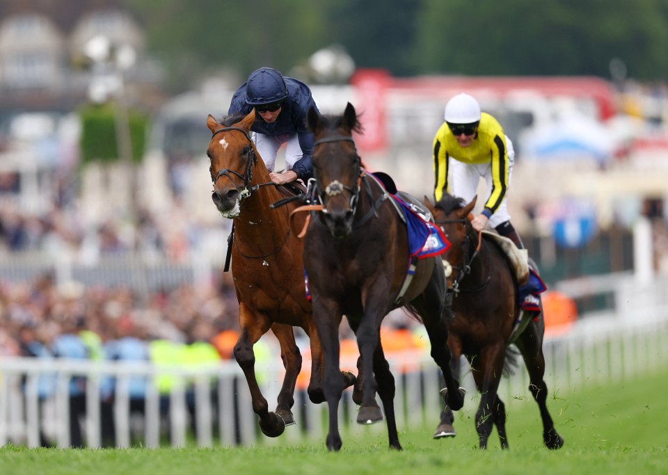 Chappers fancies Ambiente Friendly to give City Of Troy a real run for his money in the star-studded Juddmonte on day one of the Ebor Festival