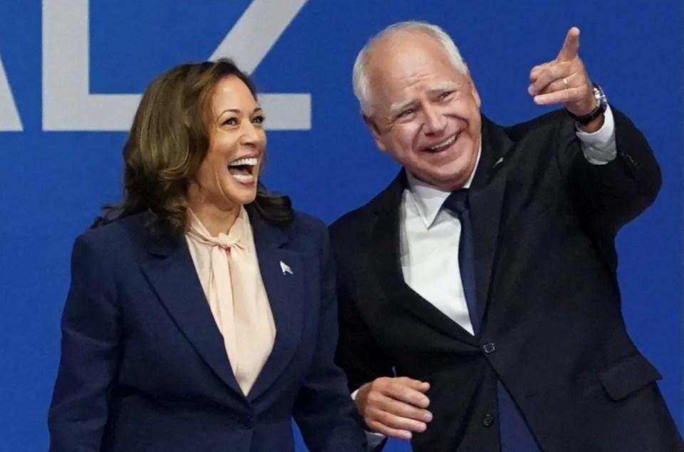 Kamala Harris has chosen a running mate, Tim Walz, who seems to me even dimmer than she is