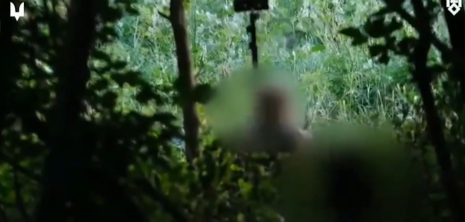 One soldier uses a piece of equipment while hiding in the forest