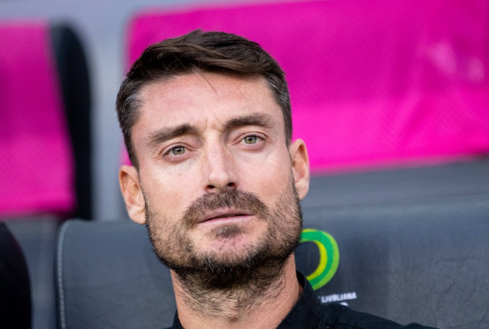 a man with a beard sits in a stadium with a pink seat