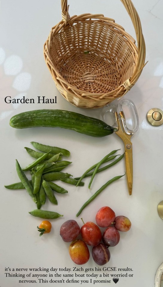 a phone screen shows a garden haul with vegetables and fruits