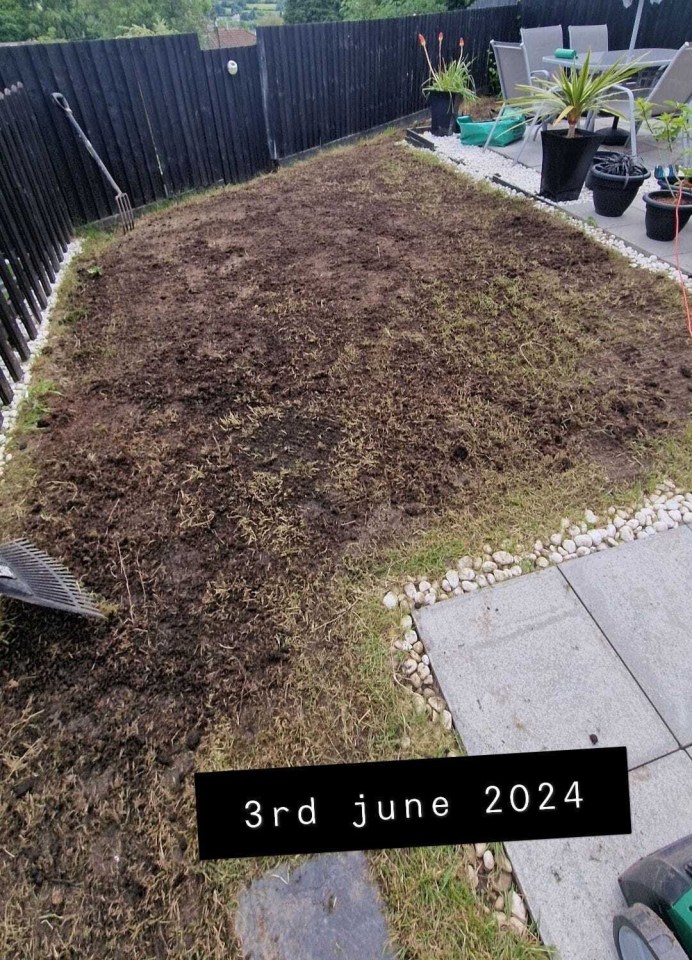 A Facebook user showed off her lawn transformation, which she said only took a few weeks