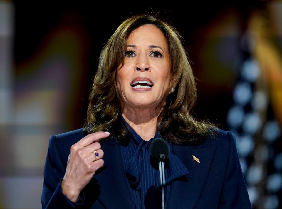 US Vice President Harris has stepped up to replace Joe Biden in the ballots