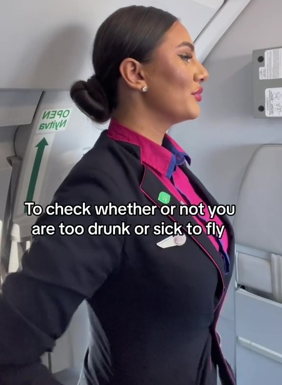 a woman in a flight attendant uniform is standing next to a green exit sign on an airplane .