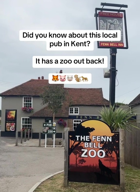 Sophie took to TikTok to share a hidden gem she found in Kent - a pub with a zoo out the back