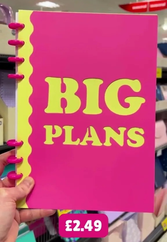 a person is holding a pink book that says big plans