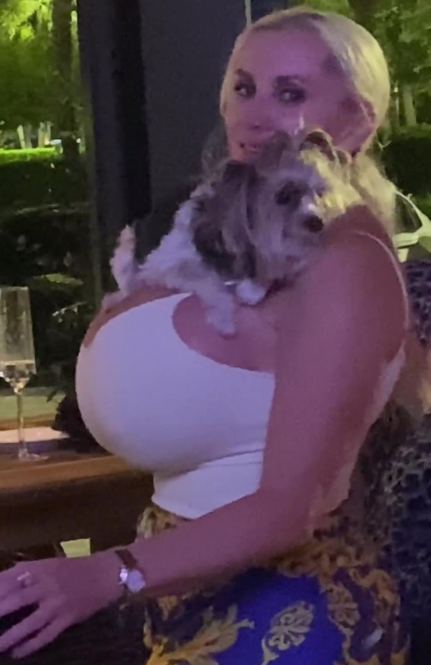 Her pet Gizmo looked very comfortable as he enjoyed his spot on her cleavage