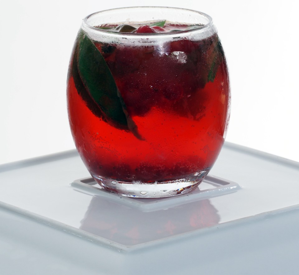 a glass of red liquid with mint leaves in it